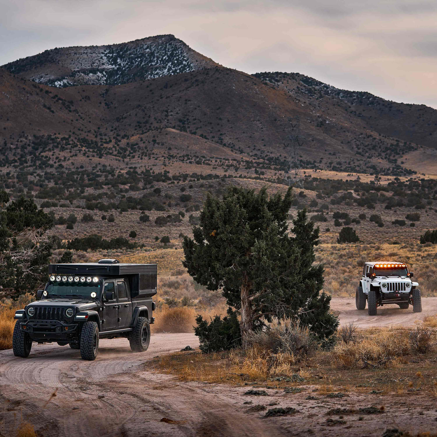 KC HiLiTES Titan Light Bar 50" Gravity®️ Titan™ LED Light Bar - 8-Light - #91418