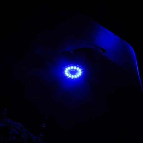 KC HiLiTES Lens Cyclone V2 LED - Replacement Lens - Blue - Single - #4404